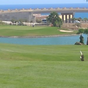 Meet your Posher, Dwain